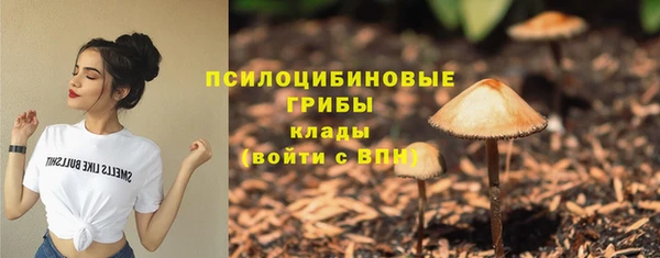 молекула духа Балахна