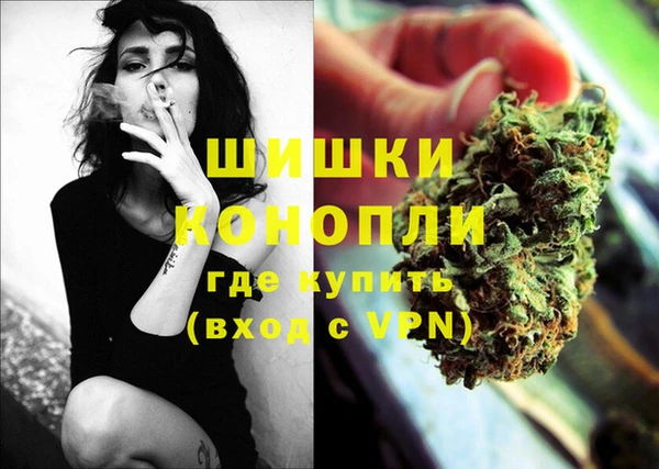 гидра Аркадак