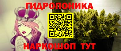 спиды Донской