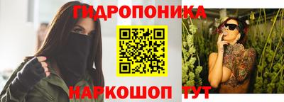 спиды Донской