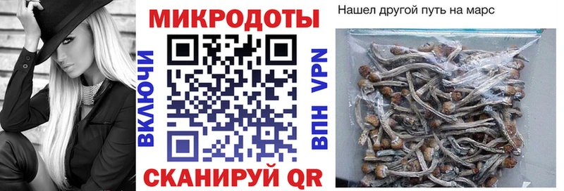 цена наркотик  Серов  Галлюциногенные грибы GOLDEN TEACHER 